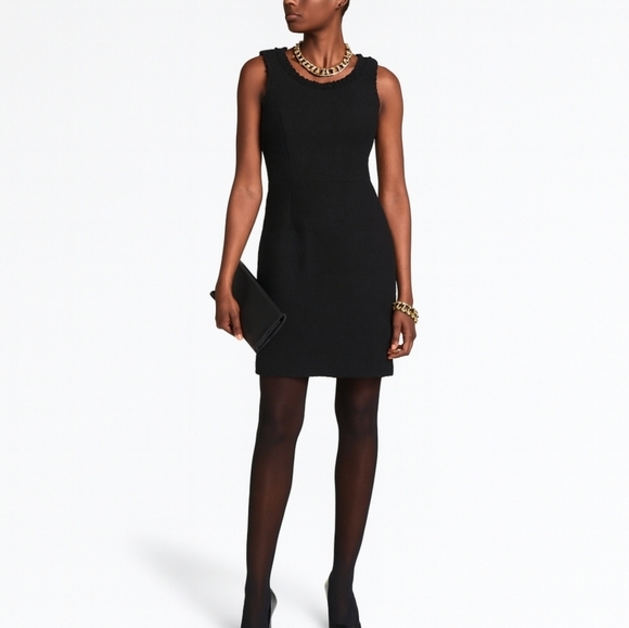Banana Republic Dresses & Skirts - Banana Republic Wool Blend Black Sleeveless Lined Dress Ruffled Accents 8